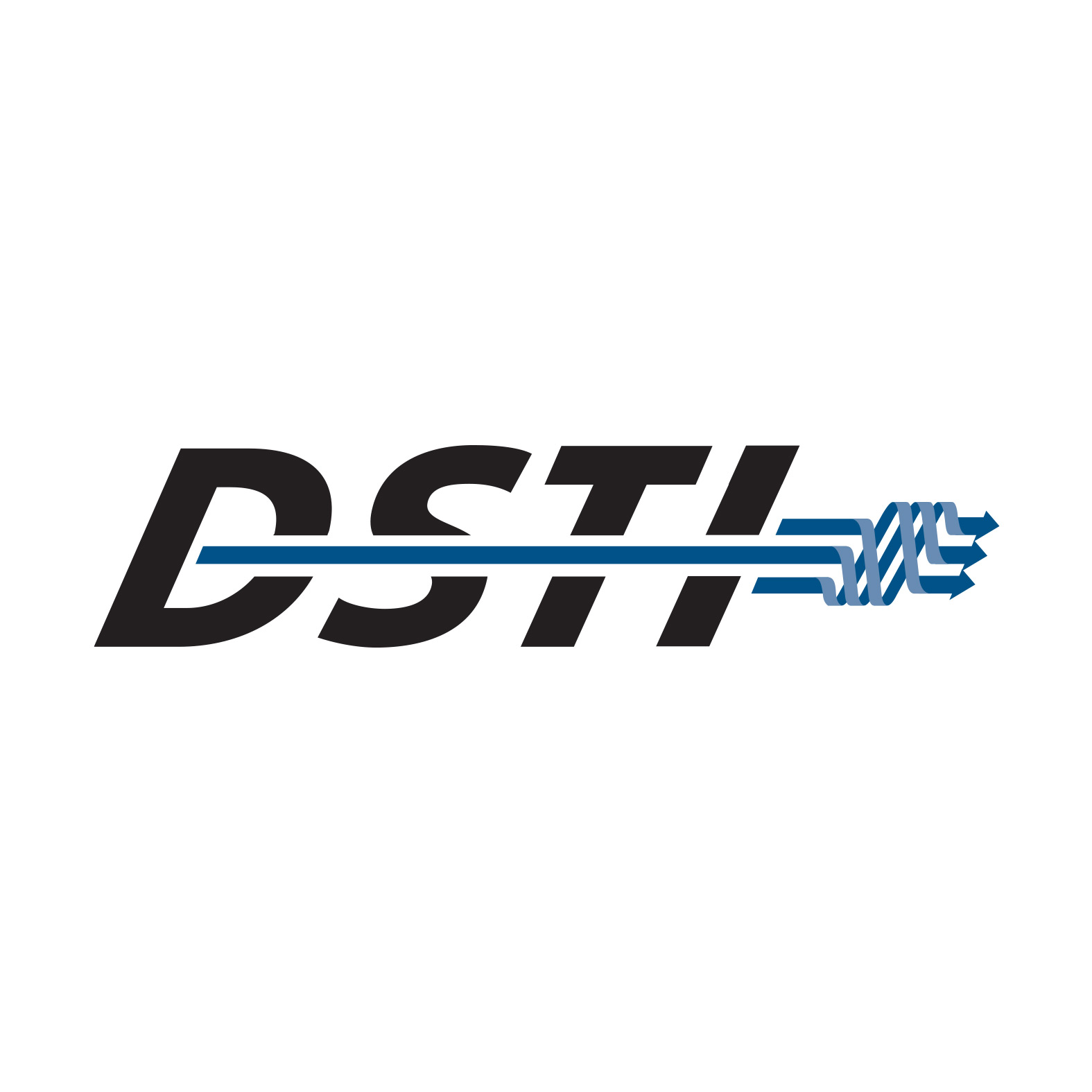 DSTI, Team Member - DSTI